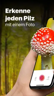 picture mushroom - pilzsuche iphone bildschirmfoto 1