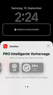 dataman - data usage widget iphone bildschirmfoto 2