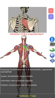 visual anatomy lite iphone bildschirmfoto 4