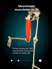 anatomy learning - anatomie 3d iPad Captures Décran 1