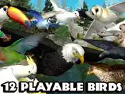 ultimate bird simulator ipad images 3