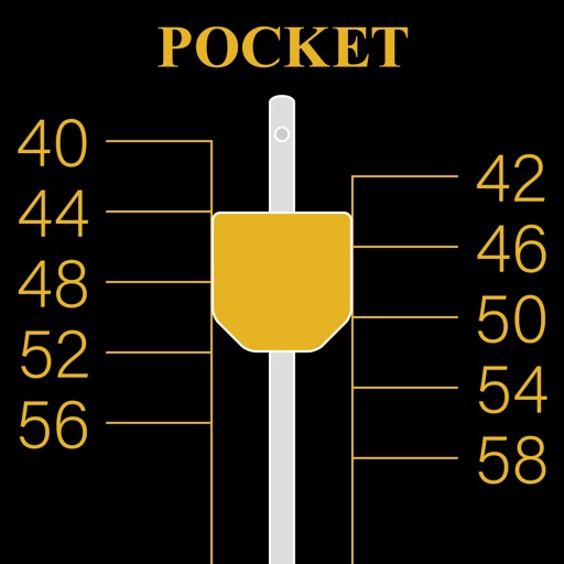 Pocket Metronome app reviews download