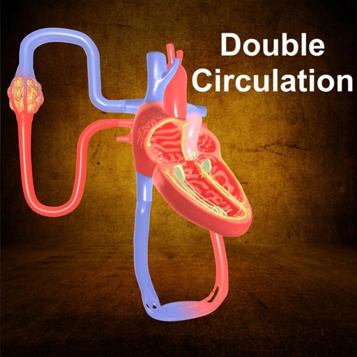 Double Circulation app reviews download