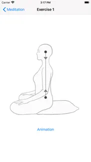 meditation - 5 basic exercises iphone images 2