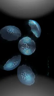 jellyfishgo - appreciation iphone images 2
