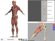 visual anatomy ipad capturas de pantalla 4