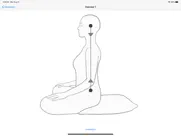 meditation - 5 basic exercises ipad images 3