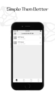 tcp udp debugger iphone capturas de pantalla 1