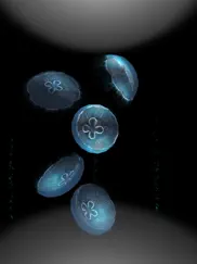 jellyfishgo - appreciation ipad images 2