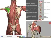visual anatomy iPad Captures Décran 2
