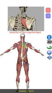 visual anatomy lite iphone resimleri 4