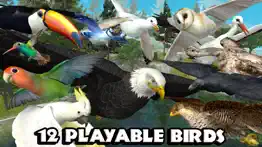 ultimate bird simulator iphone images 3
