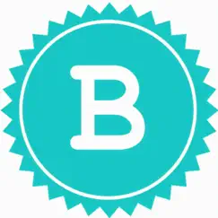 bizapp ng logo, reviews