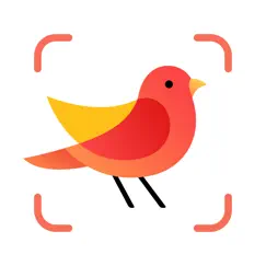 picture bird: birds identifier logo, reviews