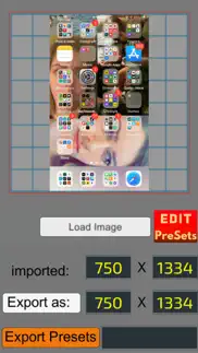 pixel resizer: custom metadata iphone images 1
