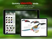 all birds colombia field guide ipad images 2