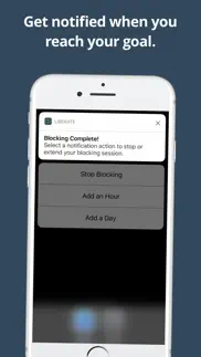 liberate - website blocker iphone images 4