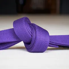 purple belt requirements 2.0 logo, reviews