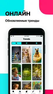 tiksave - скачать инфо о видео айфон картинки 3