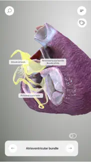 3d heart anatomy iphone capturas de pantalla 4