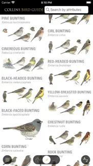 collins bird guide iphone capturas de pantalla 1