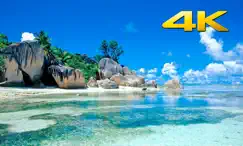 beach tv 4k logo, reviews