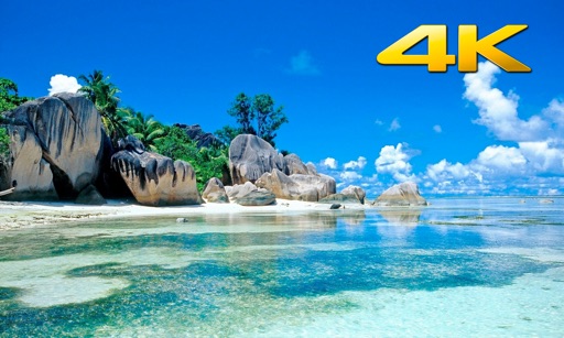 Beach TV 4K app reviews download