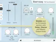 baervaag - fm synthesizer ipad images 4