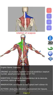 visual anatomy lite iPhone Captures Décran 2