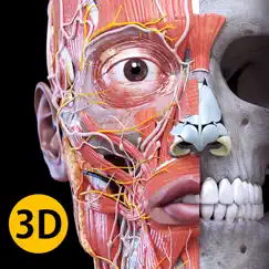 Анатомия - 3D Атлас Обзор приложения