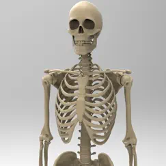 skeletal system anatomy logo, reviews
