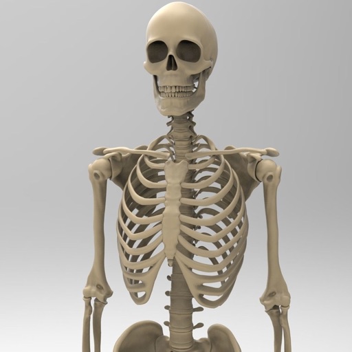 Skeletal System Anatomy app reviews download