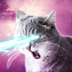 laser cats animated logo, reviews