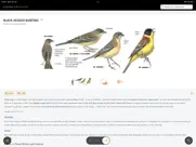 collins bird guide ipad capturas de pantalla 3
