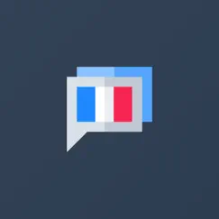 french grammar and vocabulary logo, reviews