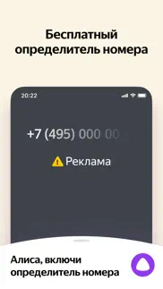 Яндекс — с Алисой айфон картинки 3
