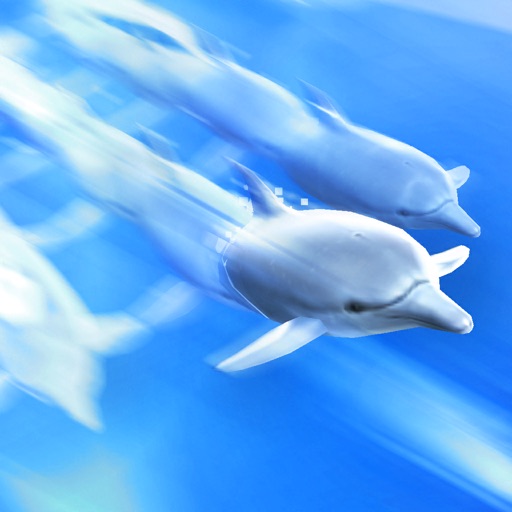 Dolphin Trainer app reviews download
