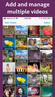 video blur maker iphone images 2