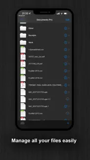 documents pro iphone capturas de pantalla 1