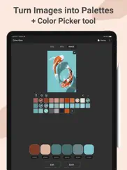 color gear: palette of harmony ipad images 2