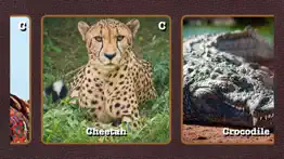 kid.safari iphone images 1