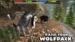 ultimate wolf simulator iphone resimleri 2