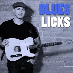 blues licks logo, reviews