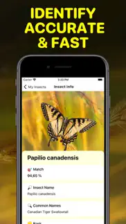 bug identifier app - insect id iphone images 2