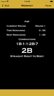 precision boxing coach pro iphone images 4