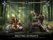 shadow fight 3 - rpg fighting ipad images 1