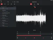 grabadora de voz pro - audio ipad capturas de pantalla 2