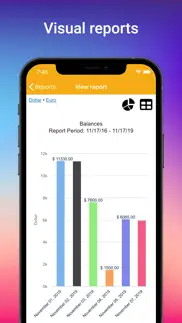 contabilidad del hogar iphone capturas de pantalla 2