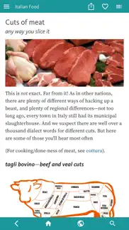italian food decoder iphone images 4