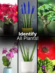 plant pic identifier ipad images 1